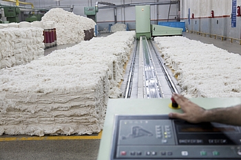 Nonwoven Fabrics